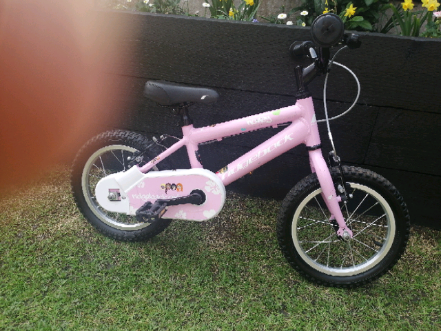 honey ridgeback bike